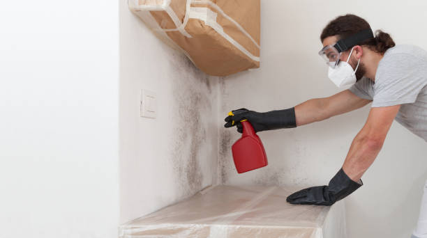 Professional Mold Remediation technician working in Forsgate, NJ