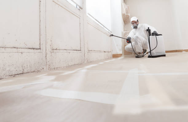 24/7 Emergency Mold Remediation experts in Forsgate, NJ