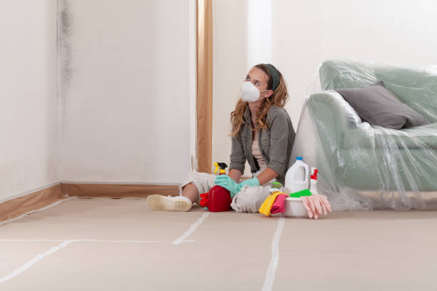 Reliable Mold Remediation contractor in Forsgate, NJ by 24 Hour Mold Removal
