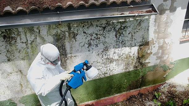 Top rated local Mold Remediation specialists in Forsgate, NJ